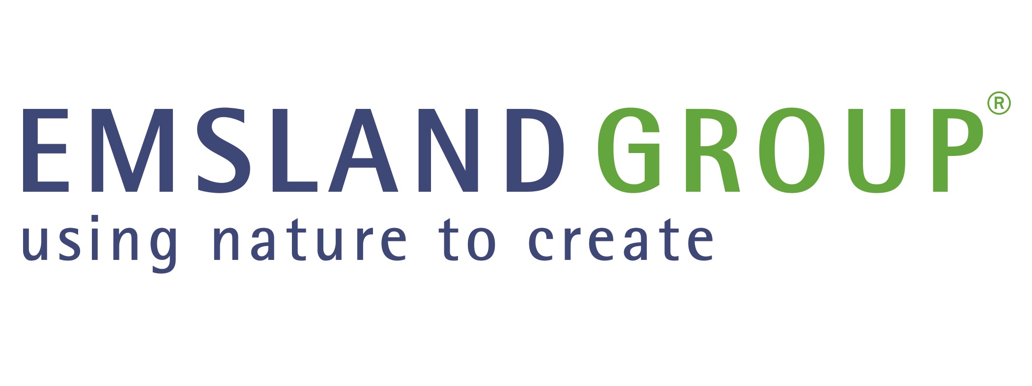 Emslandgroup Logo