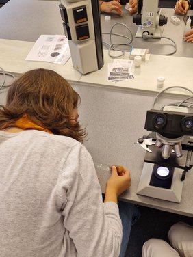 Technikantinnen zu Besuch an der Hochschule Hannover